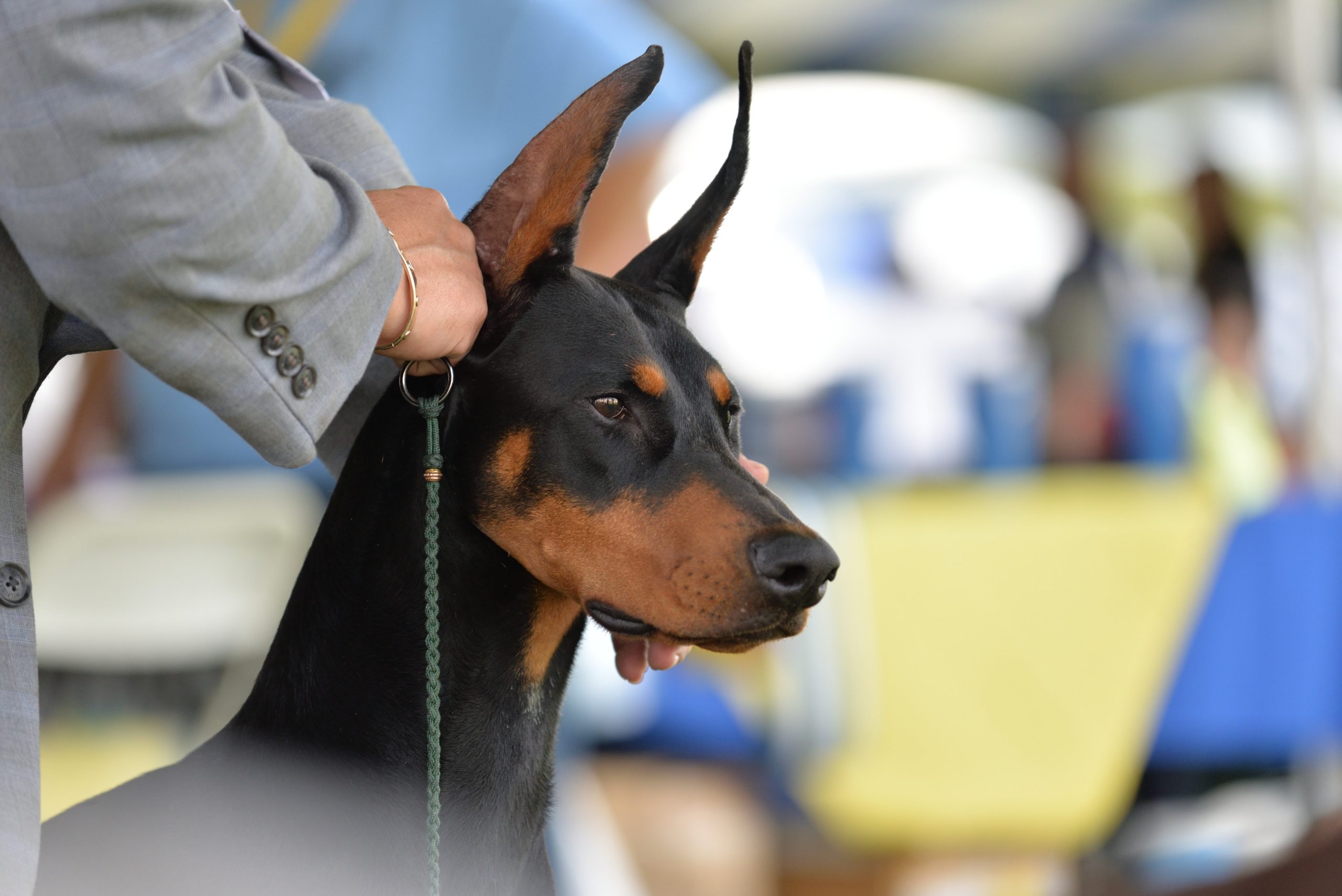 Palm Springs Specialty 2026